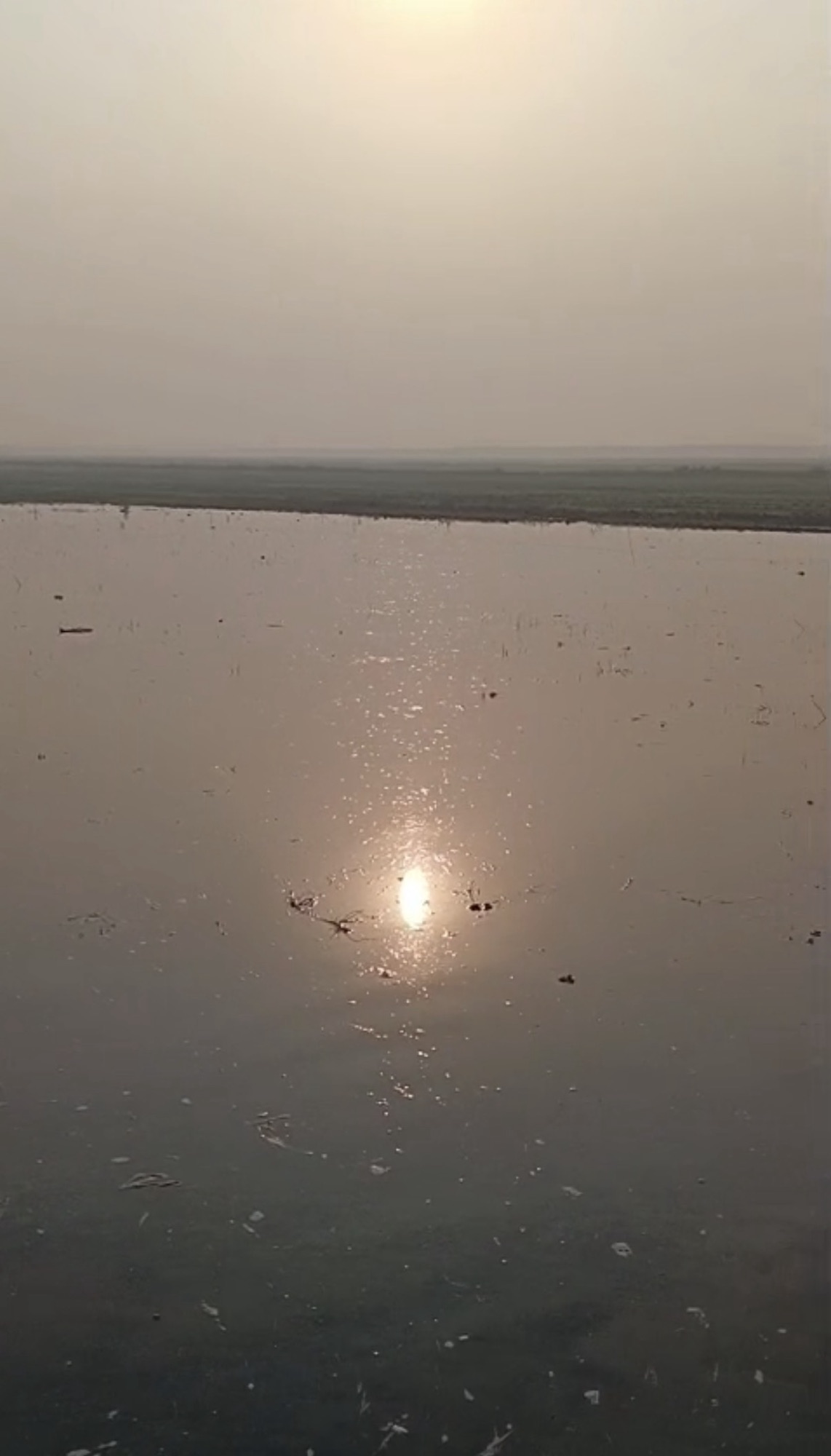 મોરબીના શાપર નજીક માઈનોર કેનાલ ઓવરફલો થતા ખેતરોમાં પાણી ધૂસ્યા