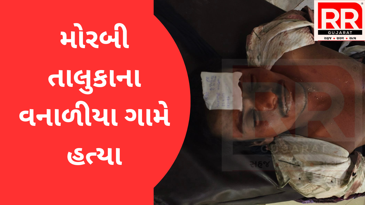 હત્યા : મોરબીના વનાળીયા ગામે કૌટુંબિક વિવાદે લીધો ભયાનક વળાંક, કાકાએ ભત્રીજાની કરી હત્યા